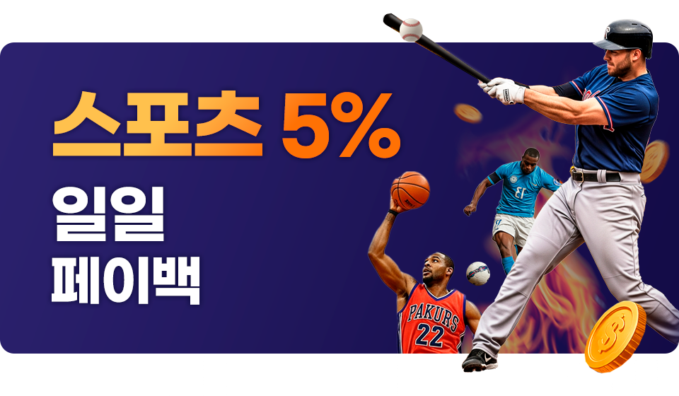 매일 5% 스포츠 머니 페이백