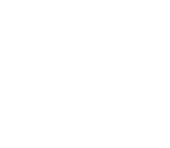 SPOBZ BI